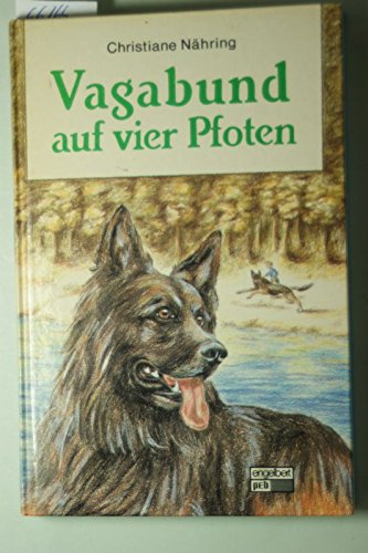 Vagabund auf vier Pfoten