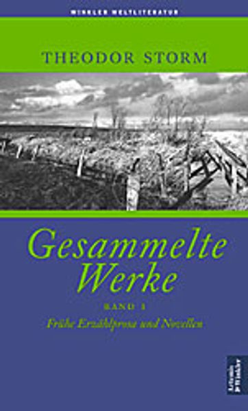 Theordor Storm. Frühe Erzählprosa und Novellen