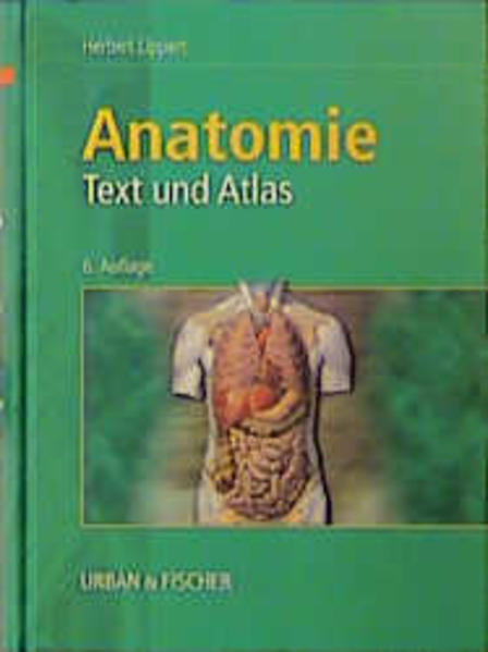 Anatomie