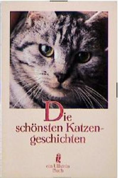 Die schönsten Katzengeschichten
