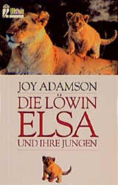 Die Löwin Elsa und ihre Jungen