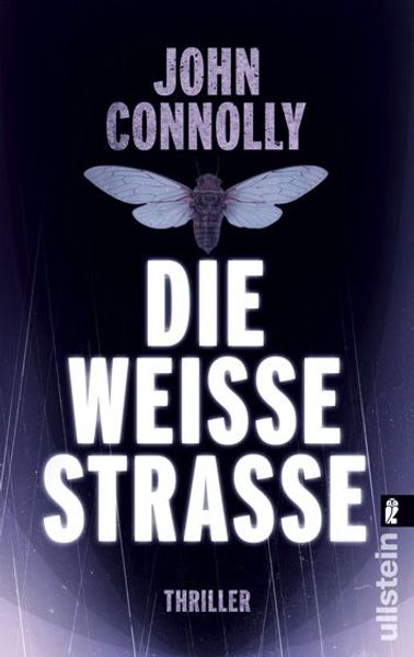 Die weiße Straße