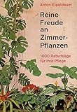 Reine Freude an Zimmerpflanzen