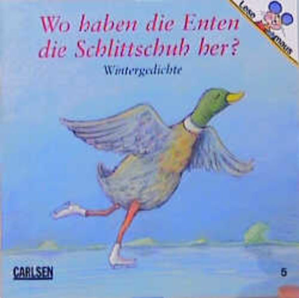 Die Enten laufen hinter den Schlittschuhen her