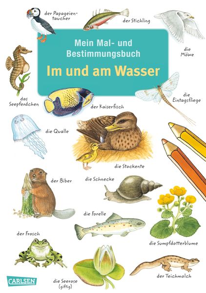 Mein Mal- und Bestimmungsbuch - Im und am Wasser