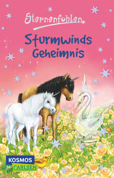 Sternenfohlen 8: Sturmwinds Geheimnis