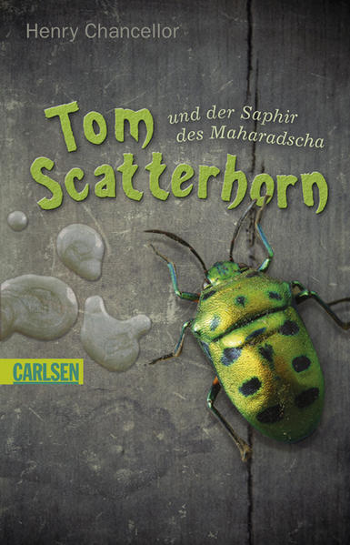 Tom Scatterhorn, Band 1: Tom Scatterhorn und der Saphir des Maharadscha