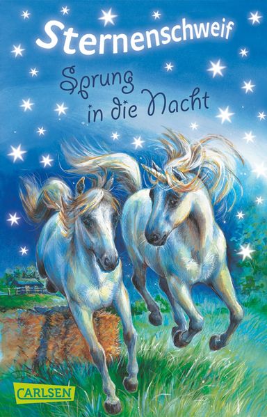 Sternenschweif, Band 2: Sprung in die Nacht