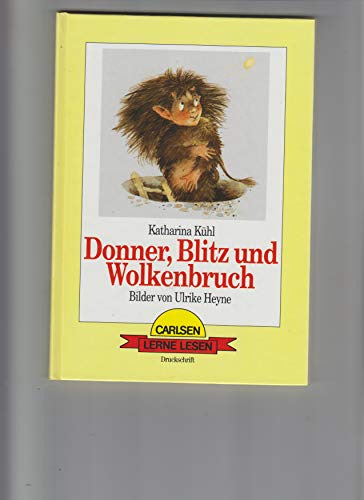 Donner, Blitz und Wolkenbruch!