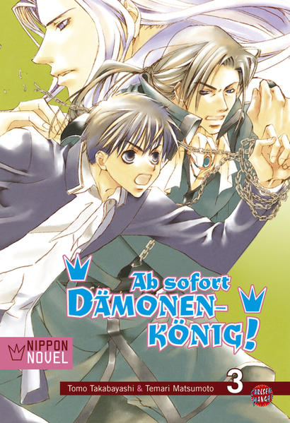 Ab sofort Dämonenkönig! (Nippon Novel) 3