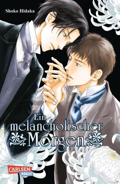 Ein melancholischer Morgen 2