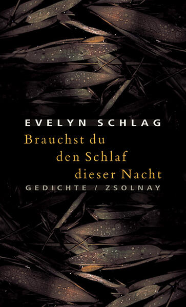 Brauchst du den Schlaf dieser Nacht