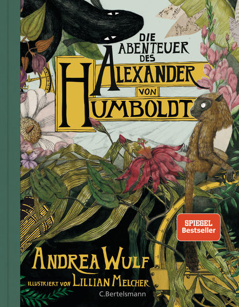 Unbekannter Titel