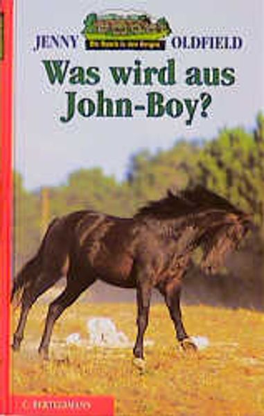 Die Ranch in den Bergen / Was wird aus John-Boy?
