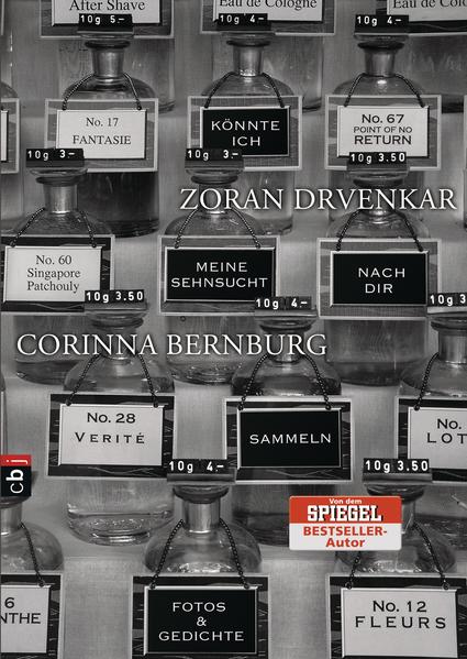 Könnte ich meine Sehnsucht nach dir sammeln