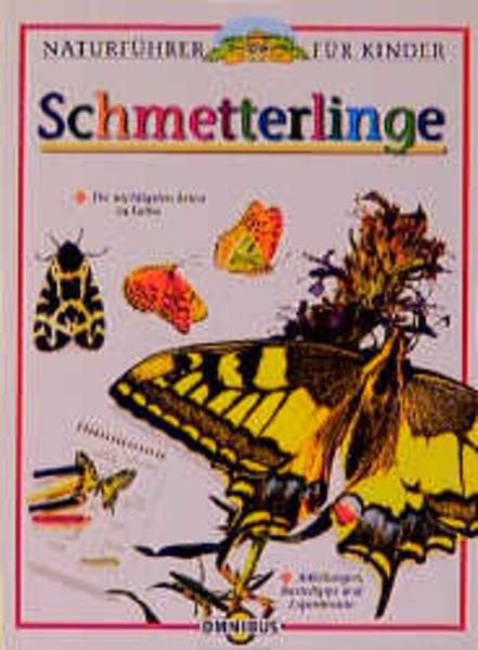 Schmetterlinge