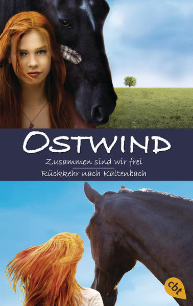 Ostwind