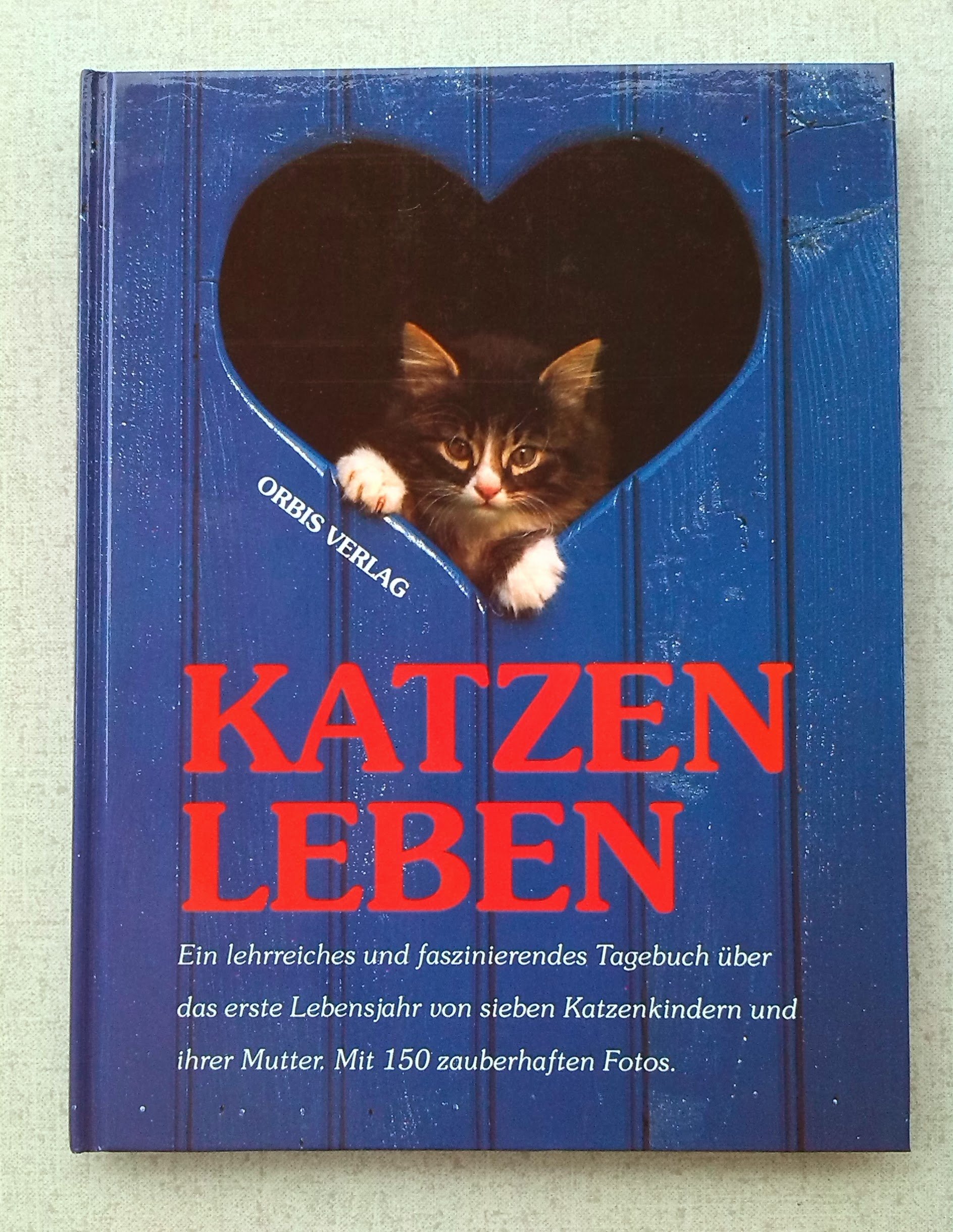 Katzenleben