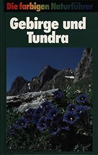 Gebirge und Tundra