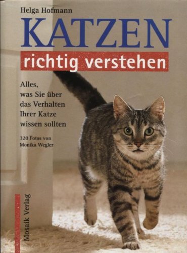 Katzen richtig verstehen