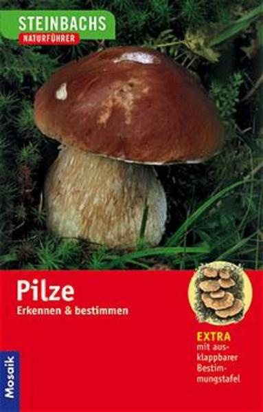 Steinbachs Naturführer - Pilze