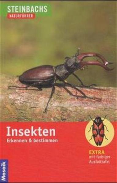 Insekten
