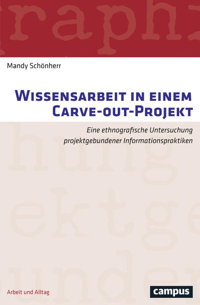 Wissensarbeit in einem Carve-out-Projekt