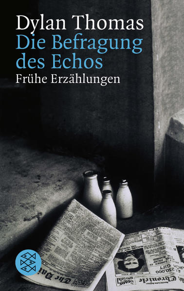 Die Befragung des Echos