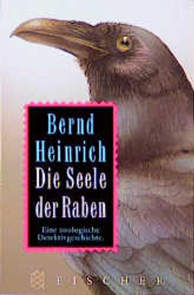 Die Seele der Raben