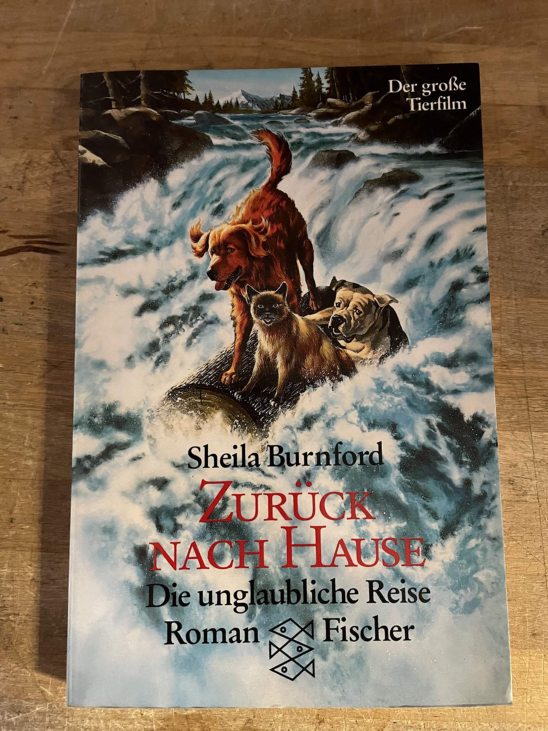 Zurück nach Hause