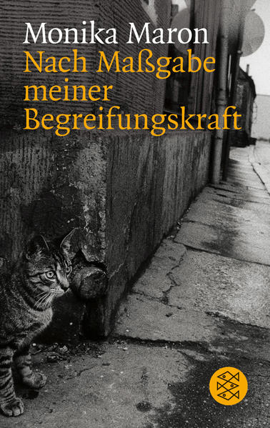 Nach Maßgabe meiner Begreifungskraft