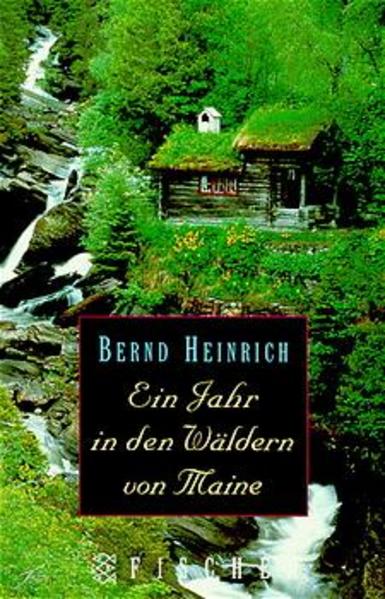 Ein Jahr in den Wäldern von Maine
