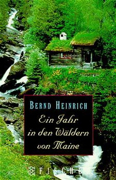 Ein Jahr in den Wäldern von Maine
