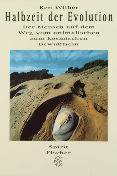 Halbzeit der Evolution