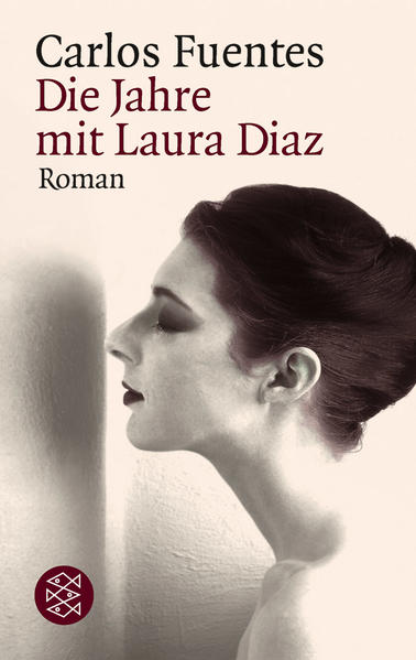 Die Jahre mit Laura Díaz