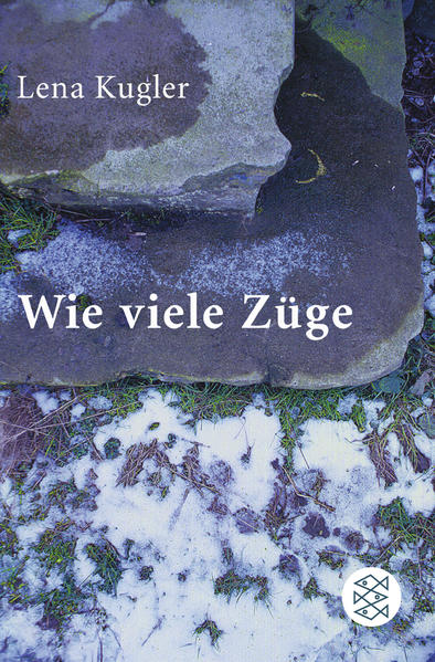 Wie viele Züge