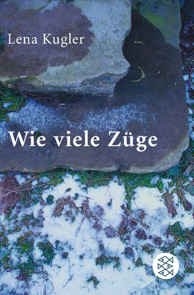 Wie viele Züge