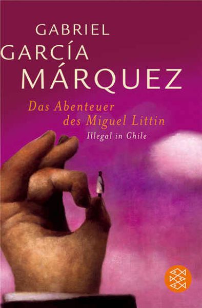 Das Abenteuer des Miguel Littín