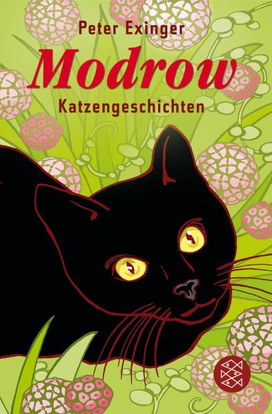 Modrow