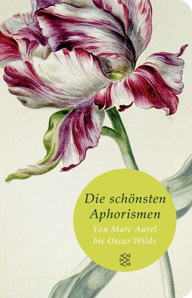 Die schönsten Aphorismen