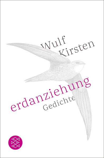Erdanziehung