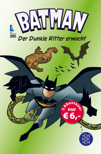 Batman – Der Dunkle Ritter erwacht