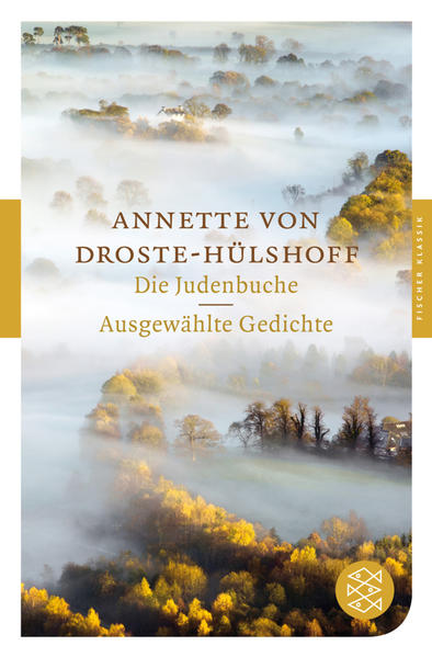 Die Judenbuche /Ausgewählte Gedichte