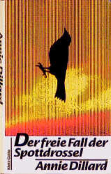 Der freie Fall der Spottdrossel