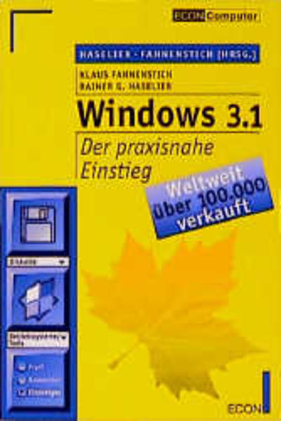 Windows 3.1