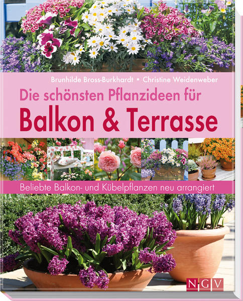 Die schönsten Pflanzideen für Balkon- & Kübelpflanzen