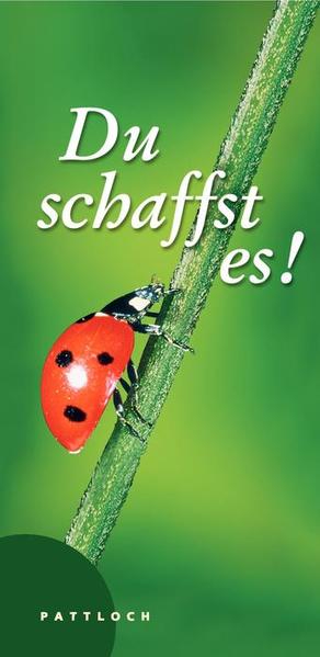 Du schaffst es!