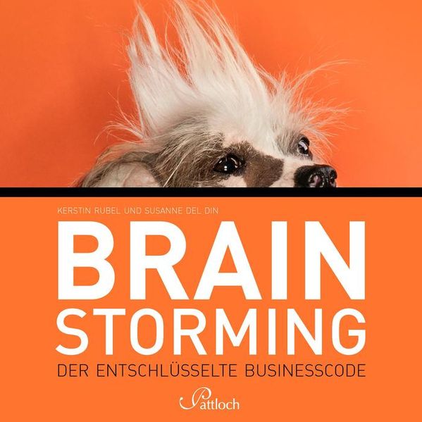 Brainstorming