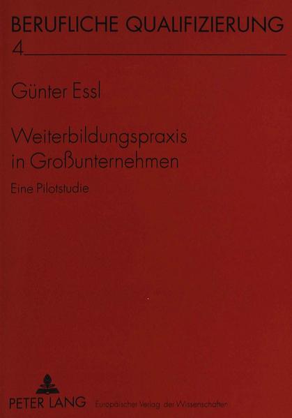 Weiterbildungspraxis in Großunternehmen