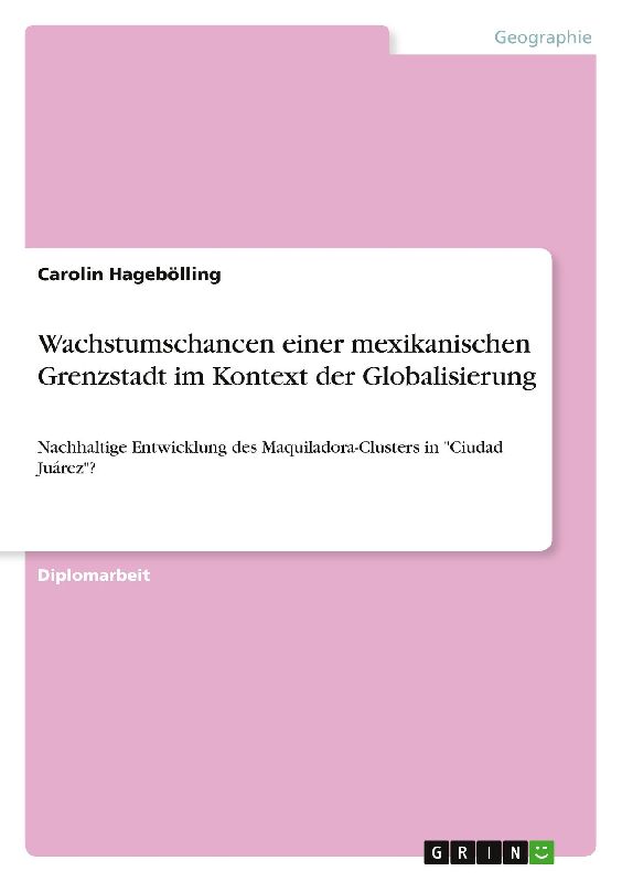 Wachstumschancen einer mexikanischen Grenzstadt im Kontext der Globalisierung